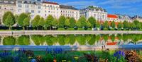 Viena