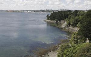 Brest