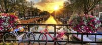 �msterdam