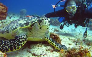 Buceo en Cayo Coco