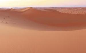 Desierto