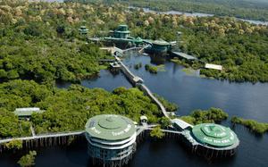 Manaus