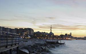 bari
