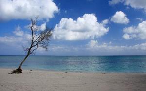 Holguin