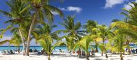 Punta Cana