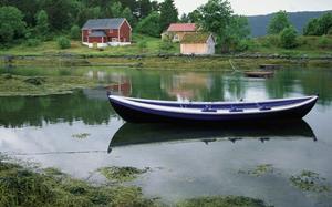 Molde 