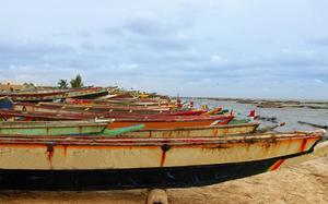 botes