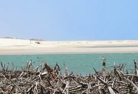 Jericoacoara