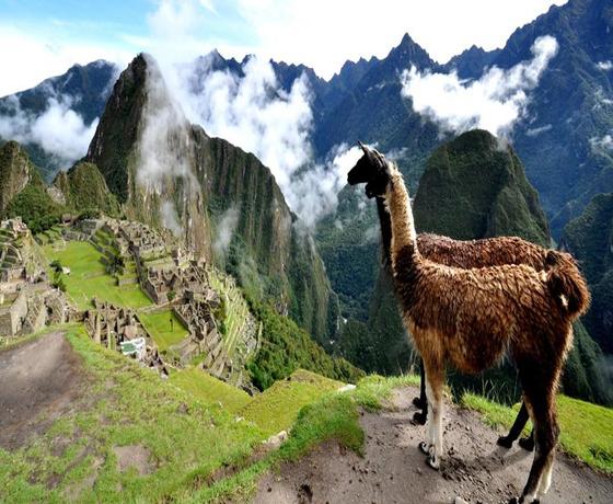 Foto destino
