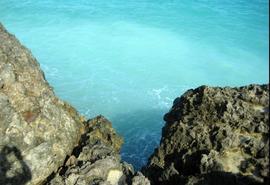 Holguin