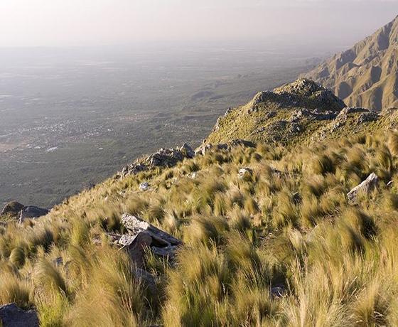 Foto destino