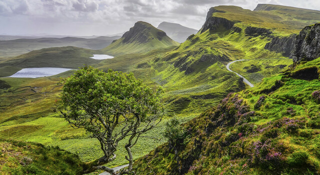 TOURTE826 Tesoros de Escocia 3