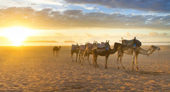 Marruecos al completo 
