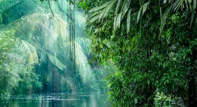 453593-453596: del Atl�ntico al Pac�fico 1