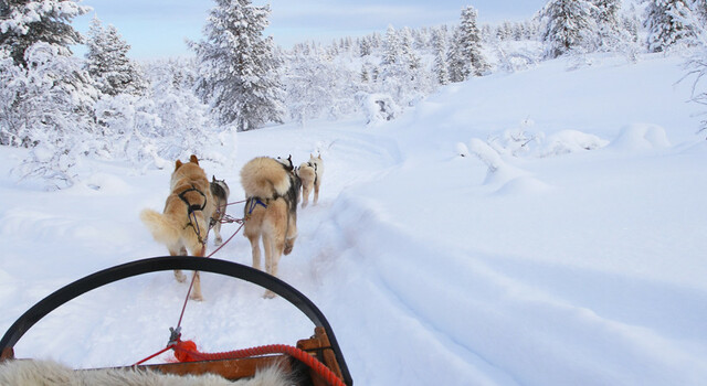 Papa Noel y Aurora Boreal (Paquete cl�sico) 4