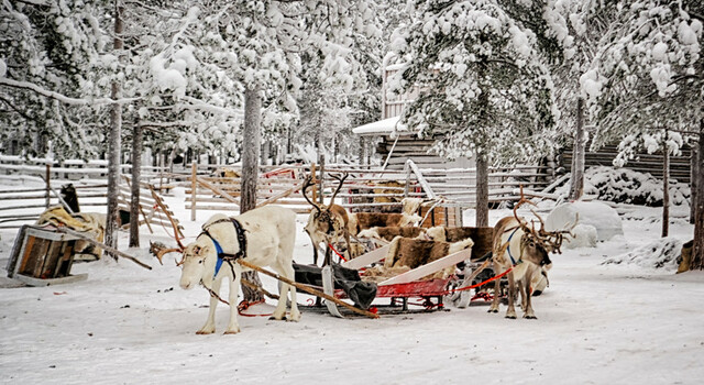 Papa Noel y Aurora Boreal (Paquete cl�sico) 1