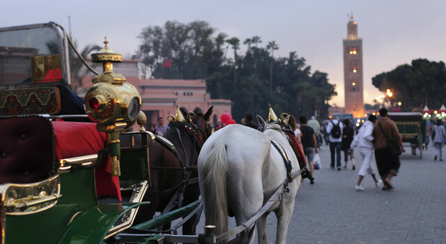 MPAMM: Madrid, Portugal, Andaluc�a y Marruecos 21 D�as 4