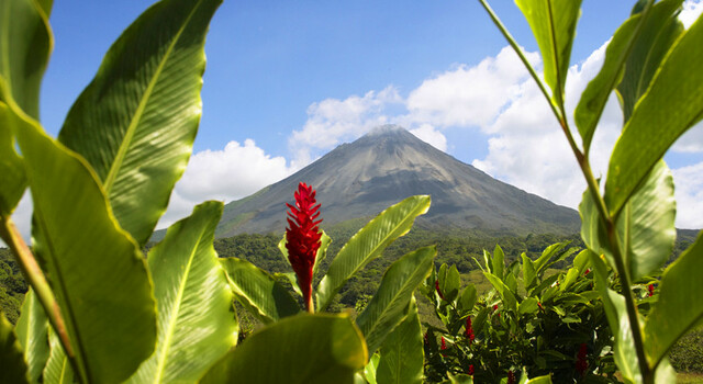 453622 Costa Rica Tropical 5 D�as, Escapada Corta 5
