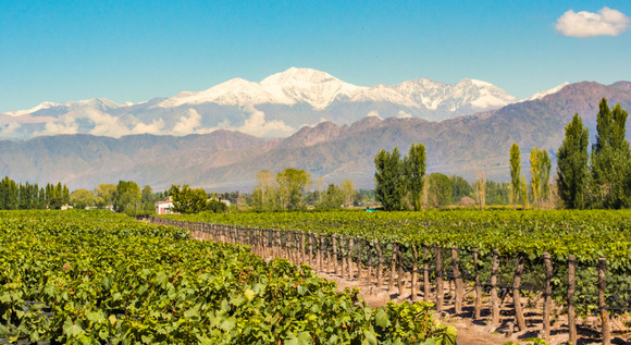 Buenos Aires, Mendoza, Santiago de Chile