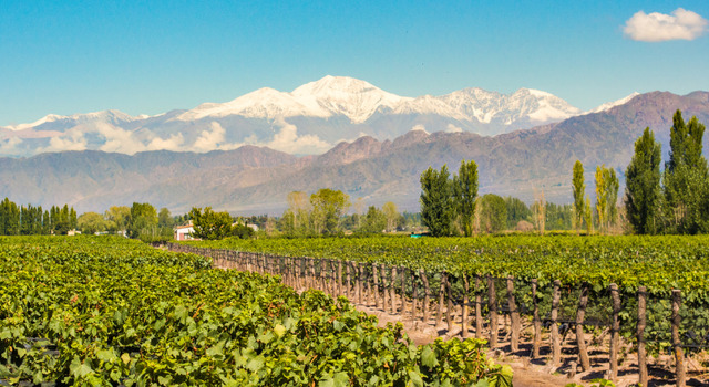 Buenos Aires, Mendoza, Santiago de Chile 2