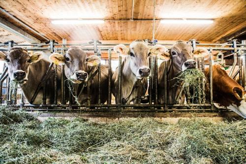 Apartamento S'landhaus