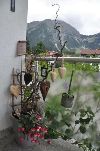 Hostal Haus Alpina