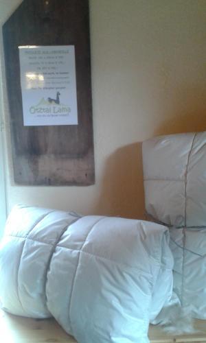 Apartamento Alpin Appart