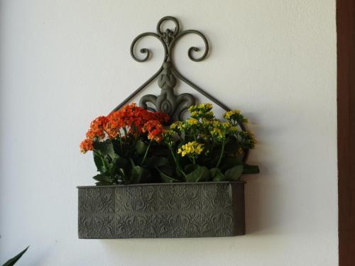 Chalet Aconchegante