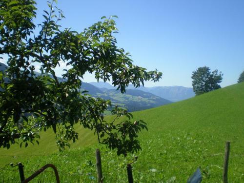 Apartamento Schwendter-hof