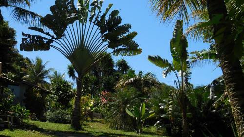 Hostal Pousada Pandoro