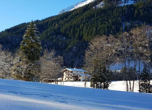 Apartamento Haus Marchegg