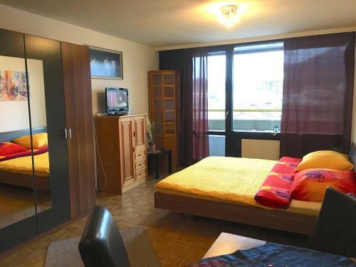 Salzburg Apartments Business