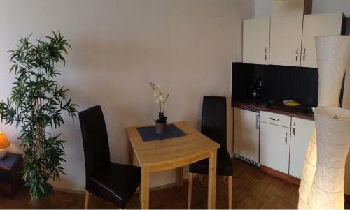 Salzburg Apartments Business