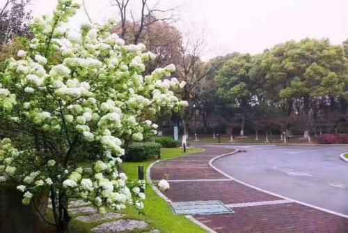 Suzhou Jinji Lake Grand Hotel