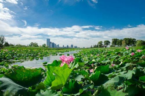 Suzhou Jinji Lake Grand Hotel