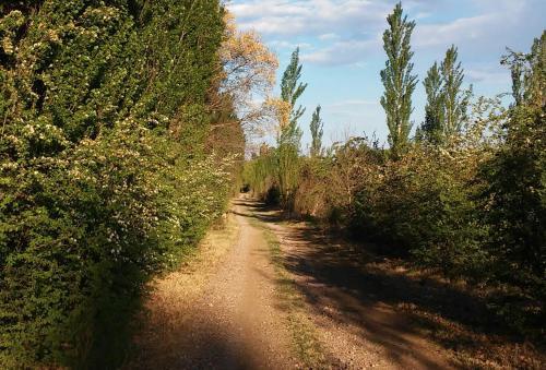 Hostal Finca La Pen�ltima-posada