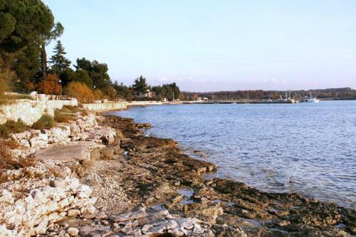 Apartments With A Parking Space Karigador (novigrad) - 2534