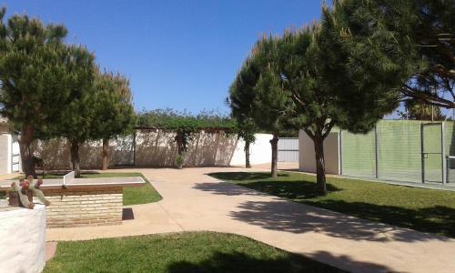 Agroturismo Complejo Rural Entre Pinos