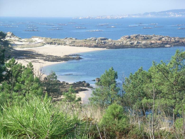 Apartamento En La Isla Con Vistas Al Mar