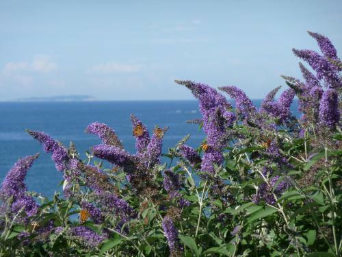 Bed & Breakfast Maison D'h�tes Les 3 Iles