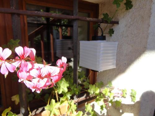 Bed & Breakfast Chambres D'h�tes "l'or�e Du Lac"