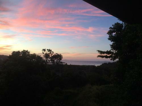 Island Dreams
