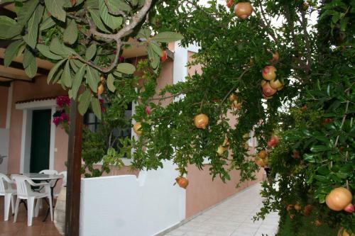 Androulakis Apartments