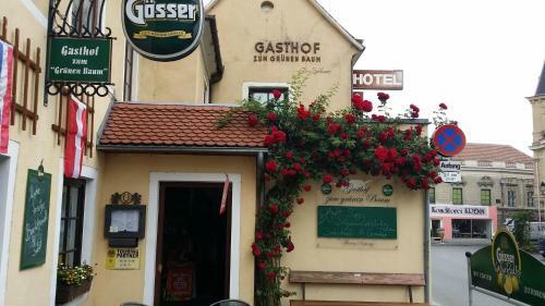Posada Gasthof Zum Gr�nen Baum