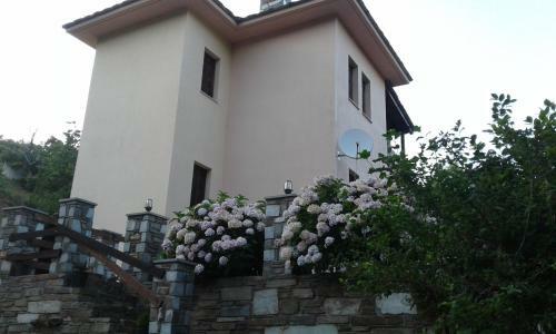 Voula's Apartment