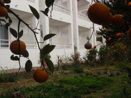 Apartamento Antouan Matina