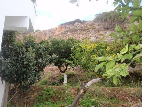 Apartamento Antouan Matina