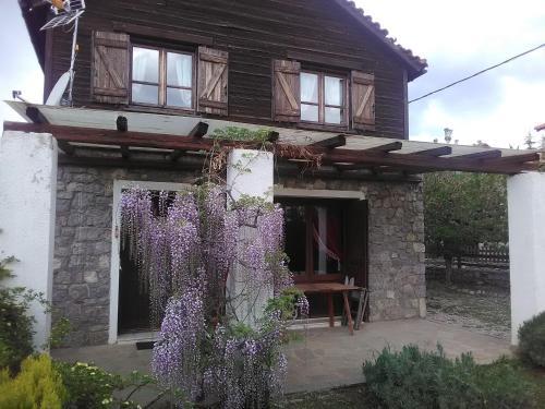 Arachova Houses