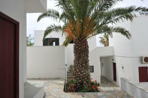 Rallis Apartments