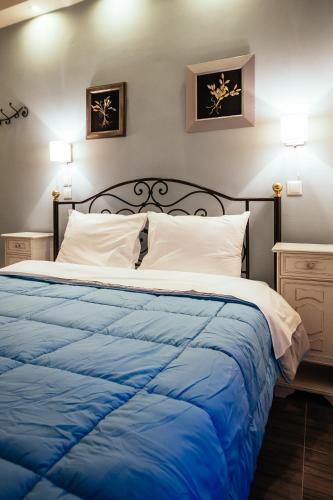 Hostal Acronafplia Pension B&d